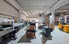 Hale Industriale 5065 mp de vanzare Str. Bradului - Bacau - 7