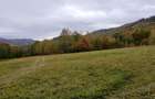 Teren ideal recreere/conectare cu natura/zona Fagaras/achitare in rate