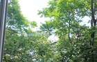 Proprietar inchiriez apartament 4 camere  - 13