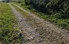 RECO, teren intravilan, Zona Sinteu, Bihor - 5