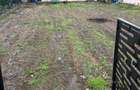 Vand teren intravilan ideal pentru constructie casa, Turnu Magurele - 3