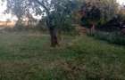Casa de vanzare Gladna Romana, judetul Timis - 2