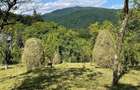 Teren de 6000 mp, în Vistieru - 3
