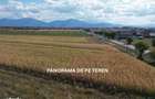 Oportunitate investi?ie: 30.000 mp cu PUZ aprobat, SanpetruBod - 4