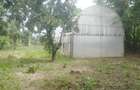 Particular casa la tara rustica 2100 mp, cu livada, solar legume si utilitati - la aproximativ 60 km de Bucuresti - 6