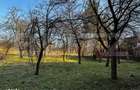 Casa cu 4 camere,baie, bucatarie,anexe.pivnita teren 2500 mp - 7