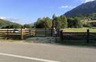 Teren intravilan 740 mp, Plaiul Foii Zarnesti, curent trifazic, put, imprejmuit - 1