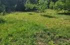 Teren Spectaculos de vanzare intravilan Sta?iunea Climaterica Sambata - 3