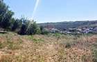 Teren intravilan, 915mp Visani, Strada Eroilor