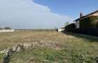 Agentia imobiliara VIGAFON vinde teren intravilan Negoiesti - 3