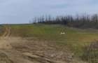 Teren intravilan de vanzare 6050 mp Le?ile - 1