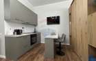 Apartament in zona Hanul cu Pe?te - ?tefan Building Lake II - 4