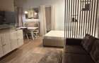 Studio de închiriat, 40 mp, grădină privată și parcare, zona Europa - 2