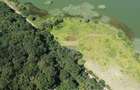 Teren 2404 mp la Lacul Murani langa padure concept Green and Blue - 3
