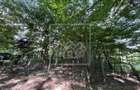 Teren in Cisnadie - 1.500 mp, inainte de Tocile, acces la drum, invest - 2