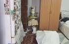 Casă cu 2 camere cu Teren 1734 Mp în Central - 4