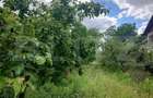 Teren intravilan, de vanzare, 2474 mp, zona Voinesti - 2