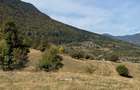 Teren intravilan in Zarnesti (zona Lazuri)