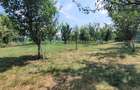 Teren 3100 mp cabana potential investitional Sura Mica Sibiu - 16