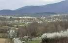 Casă cu 5 camere cu Teren 3000 Mp în Dezna - 2