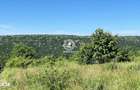 Teren de vanzare 9900mp, Slobozia - Ciurea - 4