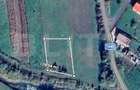 Teren intravilan, 10 ari, sat Domnesti - 1