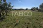 Teren intravilan 2000 mp si extravilan 1150 mp de vanzare in Vad - 3