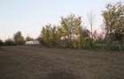 Teren Oază de liniște pt casa de vacanță sau pensiune - 2