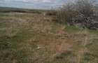 Vanzare teren 47.035mp - Comuna Plesoiu, Sat Arcesti - 1