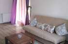 Apartament cu 2 camere decomandat în Roșu - 4