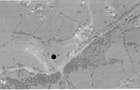 Casa si teren Argel, ID: R2878565 - 9