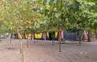 Spatiu Comercial | Ultracentral | Unirea Shopping Center | AC | 14MP | - 1