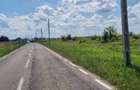 Vand 8000 mp teren in Bradu, drumul Cetului, la asfalt - 4