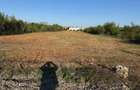 Teren intravilan Comercial-Mixt,chiar in Alesd,Bihor 4700 mp,Utilitati - 3