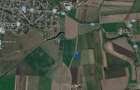 Teren arabil la Salonta 7,44 Ha - 1