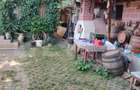 Casa de vanzare, 115 mp, teren 4000 mp, livada, zona Nord