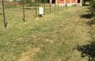 Vila de Vanzare Snagov - Ciofliceni langa padure acces asfaltat - 5
