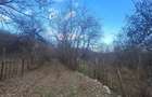 Vand teren intravilan 4900m2 - 1