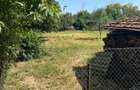 Teren intravilan 1.524 mp in Bucov , Prahova-acces rapid la DN1B, acces la toate utilitatile - 11