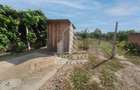 Se vinde casa in Teremia Mare, renovata, teren generos de 1.439 mp - 14