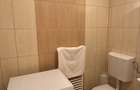 Apartament cu o camera/ Garsoniera 7 Noiembrie, zona Faget, 5-10 minute de UMFST si Spitalul Judetean - 4