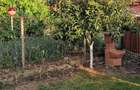 Vand casa in Valea copcii Simian - 5