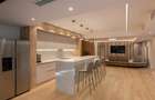 Luxury 3 Bedrooms  Exclusive location-Herastrau  Private Garden 340 sqm - 8