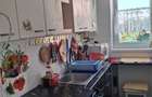 Apartament de inchiriat 2 camere in Gura Campului - 4