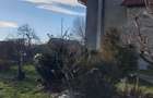 Vind casa Cornu Luncii - 1