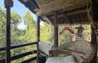 Casa P+M, 777 mp teren, Breasta - 1