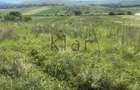 Comision 0%Teren intravilan  zona Sopor