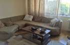 3Camere Ion Mihalache - 2