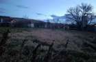 Vand casa ?i gradina - 9