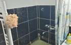 Apartament de inchiriat - 8